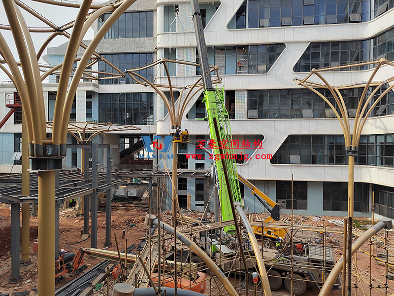 膜結(jié)構(gòu)工程吊裝 膜結(jié)構(gòu)工程吊裝